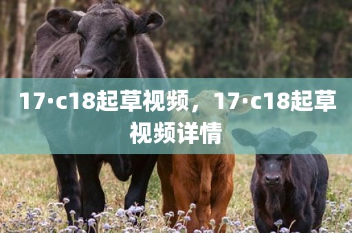 17·c18起草视频，17·c18起草视频详情