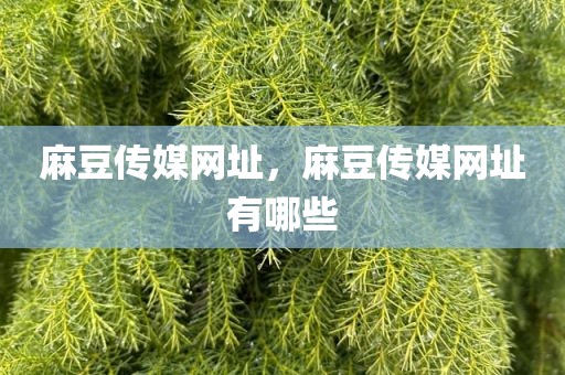 麻豆传媒网址，麻豆传媒网址有哪些