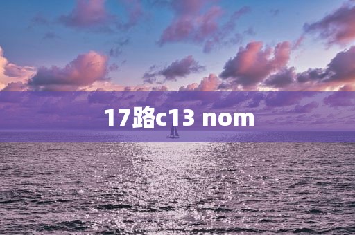 17路c13 nom