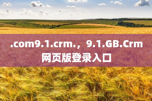 .com9.1.crm.，9.1.GB.Crm网页版登录入口