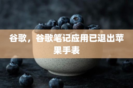 谷歌，谷歌笔记应用已退出苹果手表