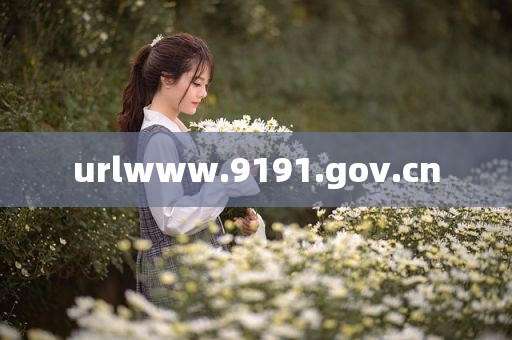 urlwww.9191.gov.cn