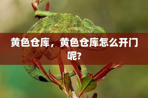 黄色仓库，黄色仓库怎么开门呢?