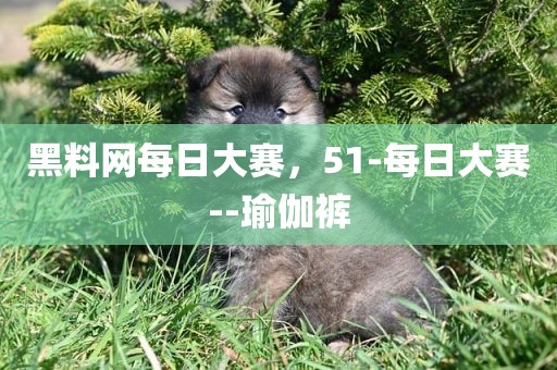 黑料网每日大赛，51-每日大赛--瑜伽裤