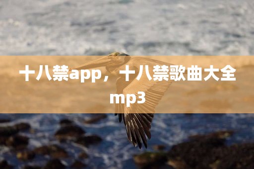 十八禁app，十八禁歌曲大全mp3