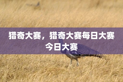 猎奇大赛，猎奇大赛每日大赛今日大赛