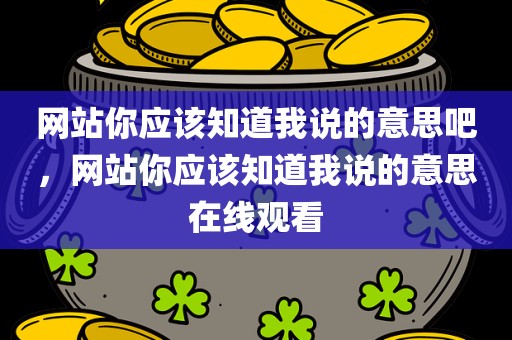 网站你应该知道我说的意思吧，网站你应该知道我说的意思在线观看