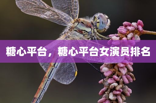 糖心平台，糖心平台女演员排名