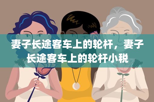 妻子长途客车上的轮杆，妻子长途客车上的轮杆小税