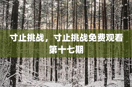 寸止挑战，寸止挑战免费观看第十七期