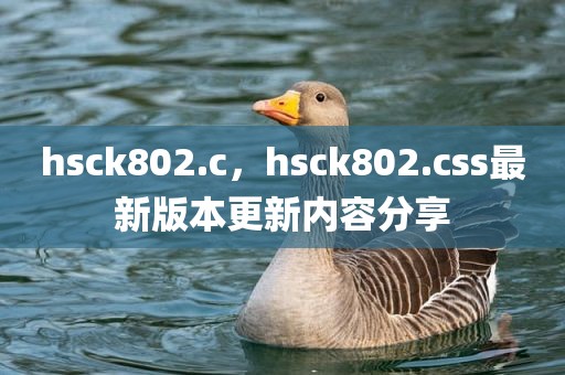hsck802.c，hsck802.css最新版本更新内容分享