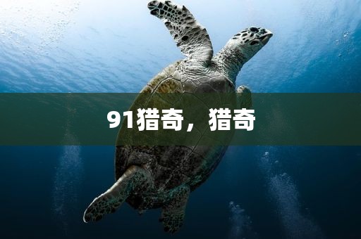 91猎奇，猎奇