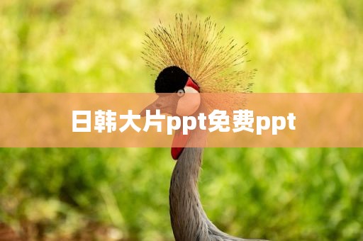 日韩大片ppt免费ppt