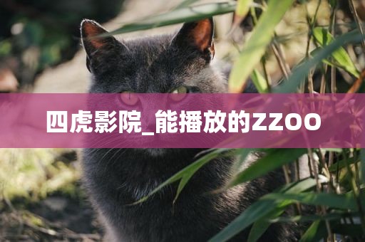 四虎影院_能播放的ZZOO