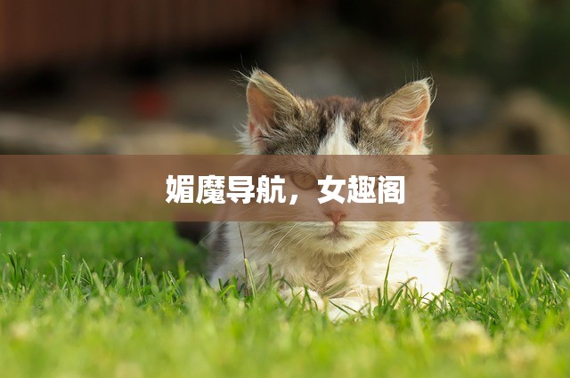媚魔导航，女趣阁