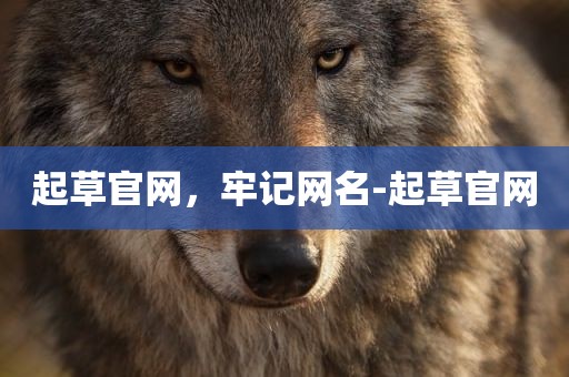 起草官网，牢记网名-起草官网