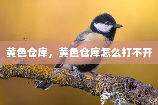 黄色仓库，黄色仓库怎么打不开