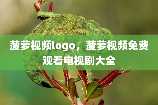 菠萝视频logo，菠萝视频免费观看电视剧大全