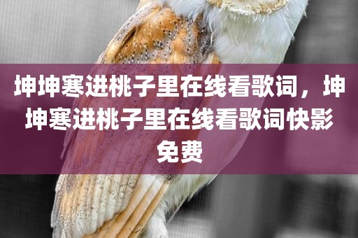 坤坤寒进桃子里在线看歌词，坤坤寒进桃子里在线看歌词快影免费