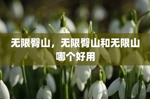 无限臀山，无限臀山和无限山哪个好用