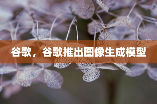 谷歌，谷歌推出图像生成模型