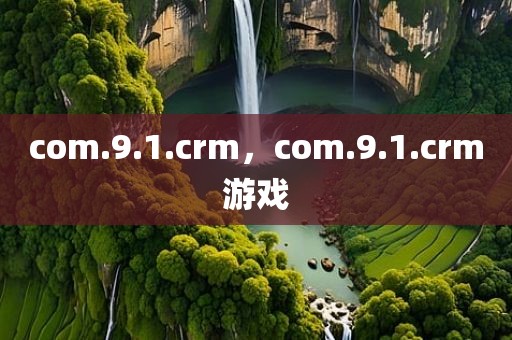 com.9.1.crm，com.9.1.crm游戏