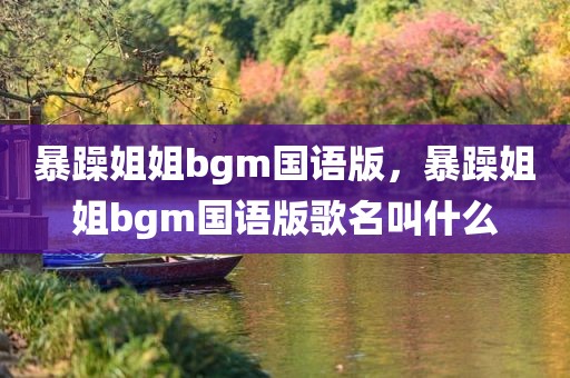 暴躁姐姐bgm国语版，暴躁姐姐bgm国语版歌名叫什么