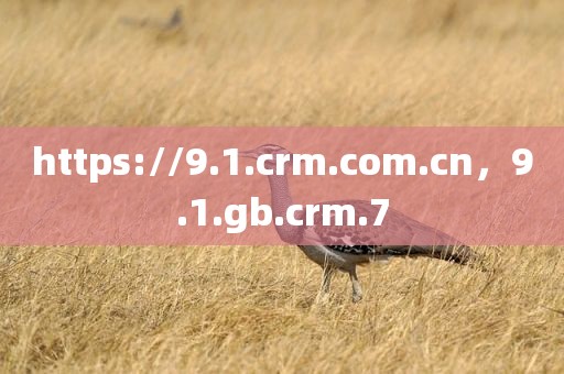 https://9.1.crm.com.cn，9.1.gb.crm.7