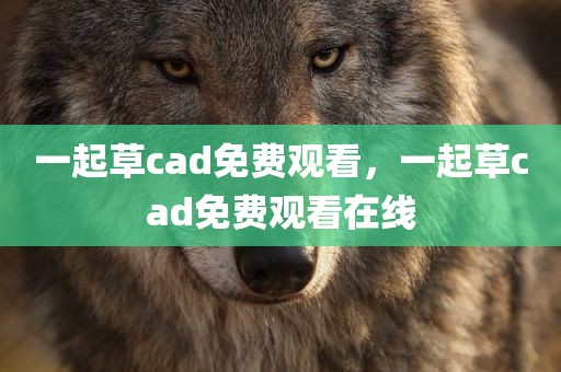 一起草cad免费观看，一起草cad免费观看在线