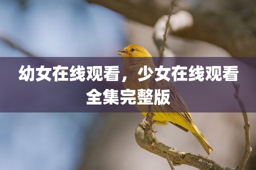 幼女在线观看，少女在线观看全集完整版