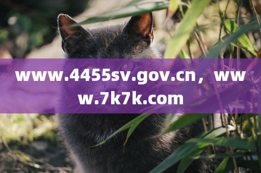 www.4455sv.gov.cn，www.7k7k.com