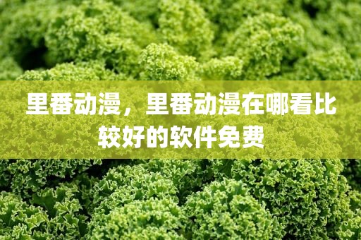 里番动漫，里番动漫在哪看比较好的软件免费