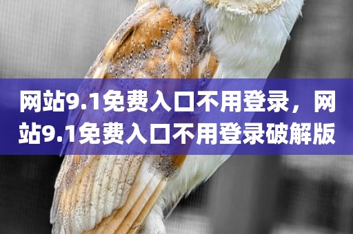 网站9.1免费入口不用登录，网站9.1免费入口不用登录破解版