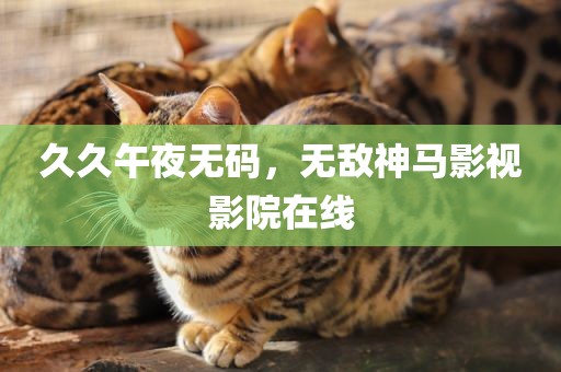 久久午夜无码，无敌神马影视影院在线