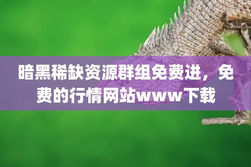暗黑稀缺资源群组免费进，免费的行情网站www下载