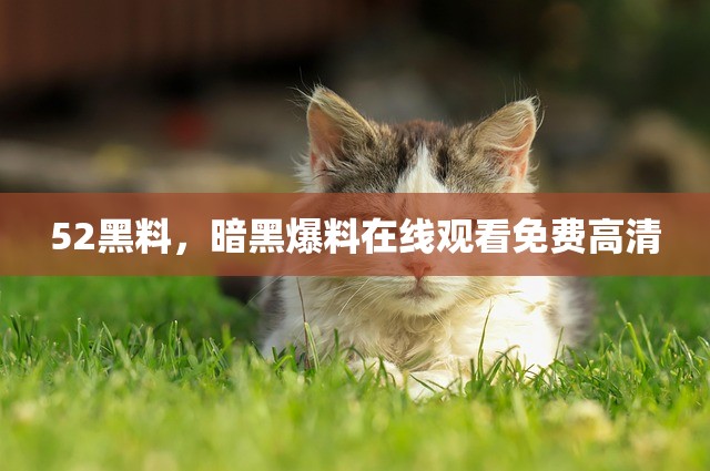 52黑料，暗黑爆料在线观看免费高清