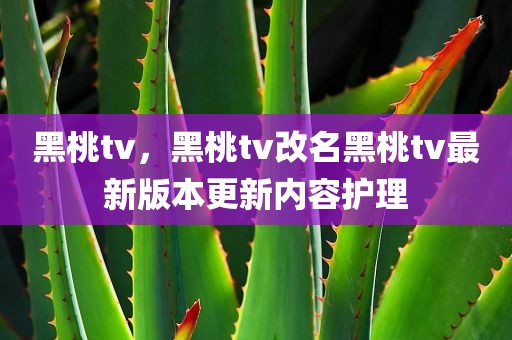 黑桃tv，黑桃tv改名黑桃tv最新版本更新内容护理