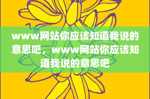 www网站你应该知道我说的意思吧，www网站你应该知道我说的意思吧