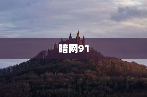 暗网91