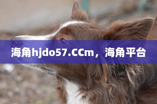 海角hjdo57.CCm，海角平台