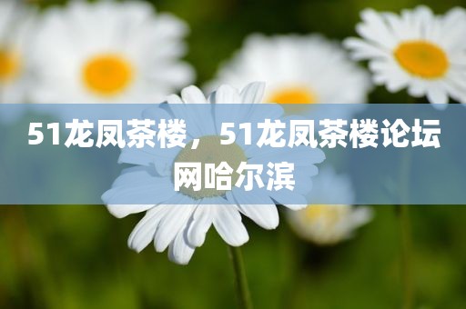 51龙凤茶楼，51龙凤茶楼论坛网哈尔滨