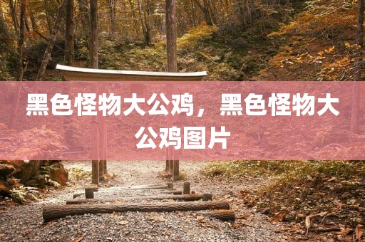 黑色怪物大公鸡，黑色怪物大公鸡图片