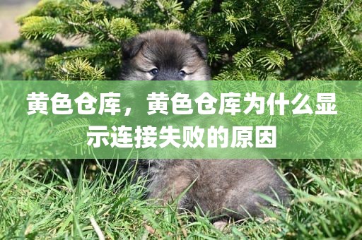 黄色仓库，黄色仓库为什么显示连接失败的原因
