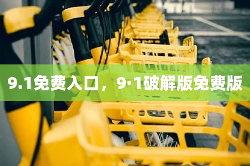 9.1免费入口，9·1破解版免费版