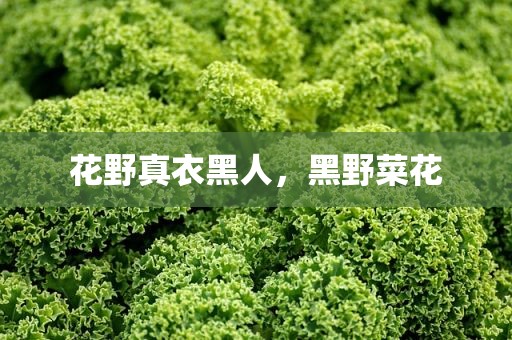 花野真衣黑人，黑野菜花