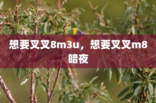 想要叉叉8m3u，想要叉叉m8暗夜