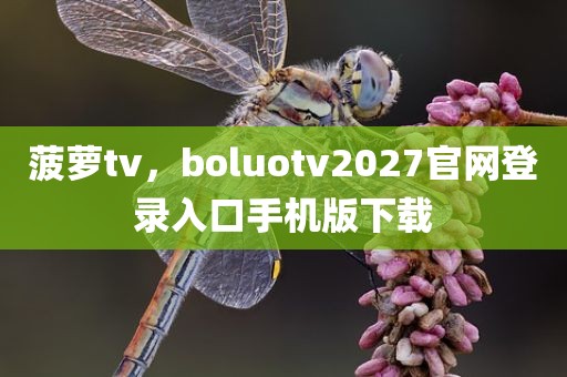 菠萝tv，boluotv2027官网登录入口手机版下载