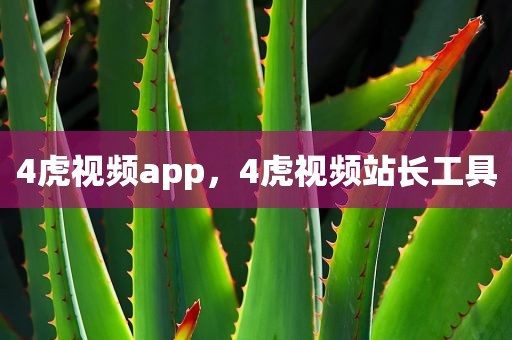 4虎视频app，4虎视频站长工具
