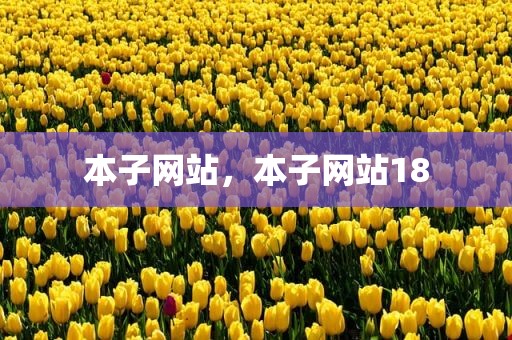 本子网站，本子网站18