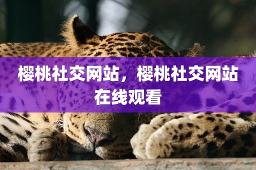 樱桃社交网站，樱桃社交网站在线观看
